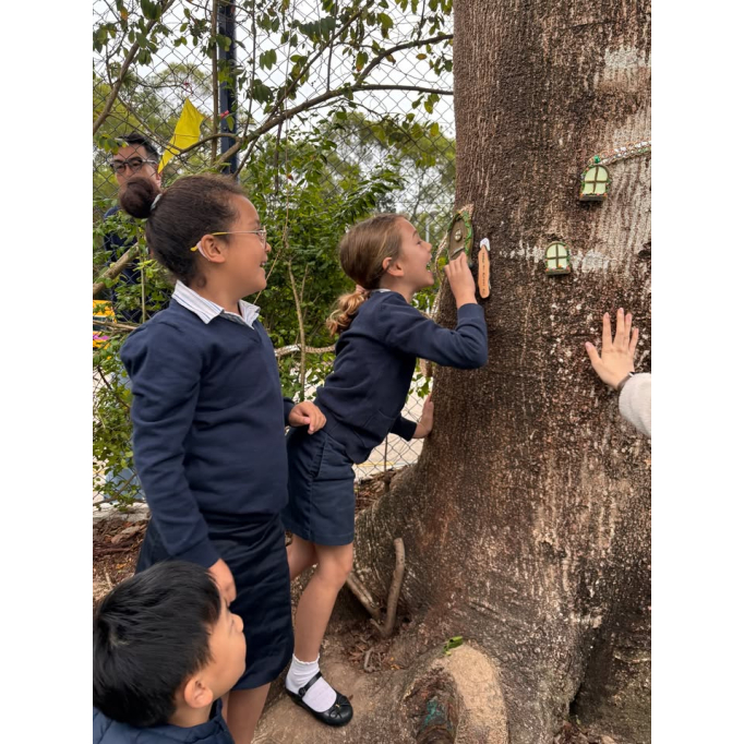 649624893_1248852287387363_9076885066158483145_n