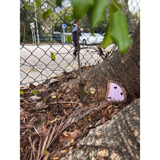 650328785_1248852267387365_1184707490421457346_n