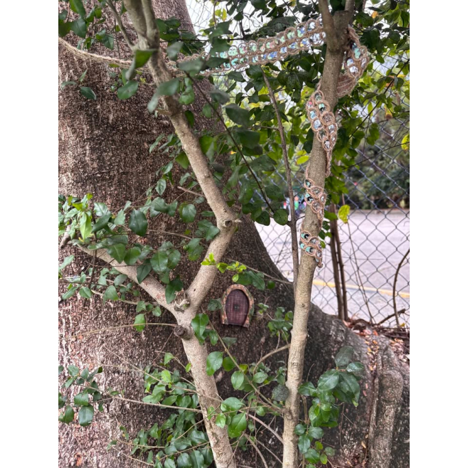 649531282_1248852157387376_6037519774186558310_n